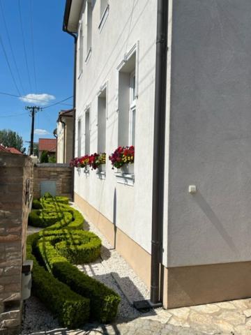 Villa Garden Dunajska Streda Exterior photo